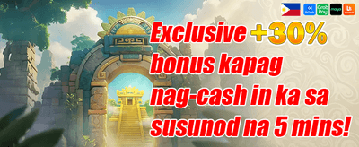VIP Cashback Offer promotion